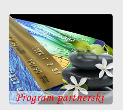 Program Partnerski